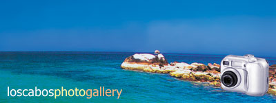 los cabos photo gallery